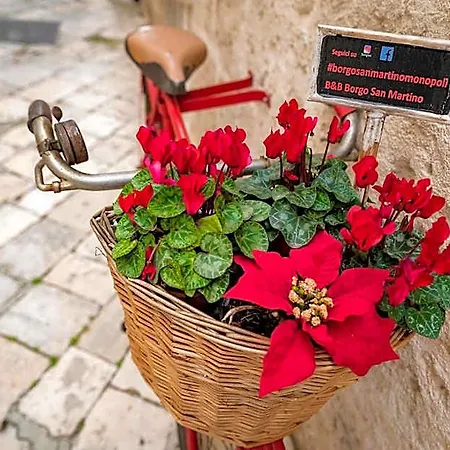Borgo San Martino 3*