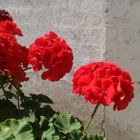 Bed & Breakfast Borgo San Martino